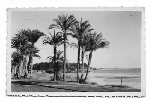 PC EGYPT, PORT SAID QUAI DE PORT SAID, Vintage Postcard (b39374