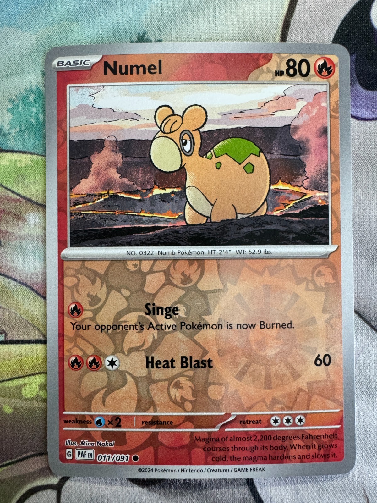 Numel Reverse Holo English Pokemon TCG BKBW813