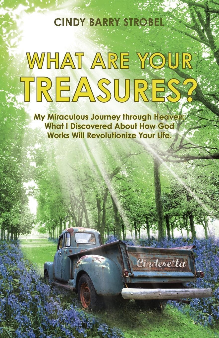 Cindy Barry Strobel | What Are Your Treasures? | Taschenbuch |