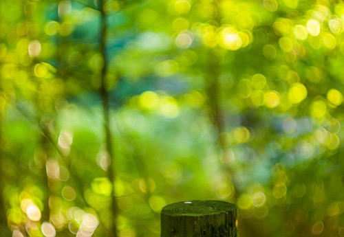 Fuji X Fit Helios 44M-4 Bokeh King 58mm F/2 Legendary Zeiss Derived Lens - Picture 5 of 5