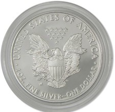 2013 $1 American Silver Eagle 1 Oz BU – Uncirculated Intact Coin