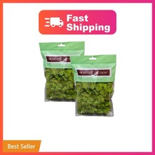 Quality Growers Reindeer Moss, Preserved Moss, Chartreuse, Small 2-Pack Pre...
