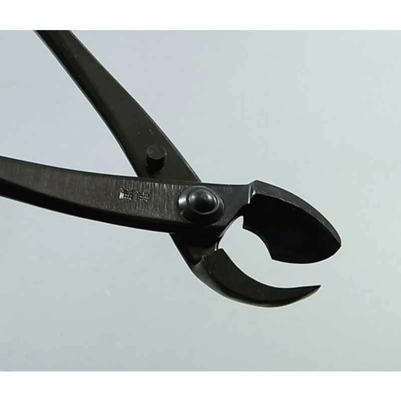 Tijeras Bonsái Kaneshin Nº4 Hechas en Japón Herramienta de Poda Profesional Nuevas Foto 2 de 4