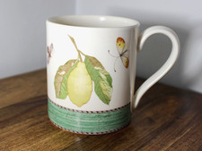 Wedgwood Sarah's Garden Large Mug/ Tankard Queens Ware 1997 Half Pint. Excellent