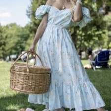 LoveShackFancy Dress Size 4 Blue Floral  Women's Cottagecore NWT