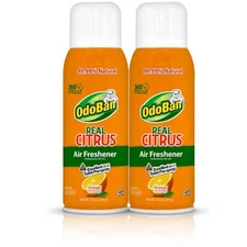 10 oz. Orange Real Citrus Scent Home Odor-eliminating Air Freshener Spray 2 Pack