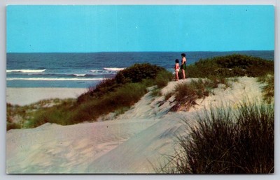 Postcard Nantucket Island, MA: Sand Dunes, Ocean View, Vintage USA Unposted