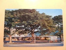 M's Ranch House Restaurant Aina Haina Honolulu Hawaii vintage postcard 1959