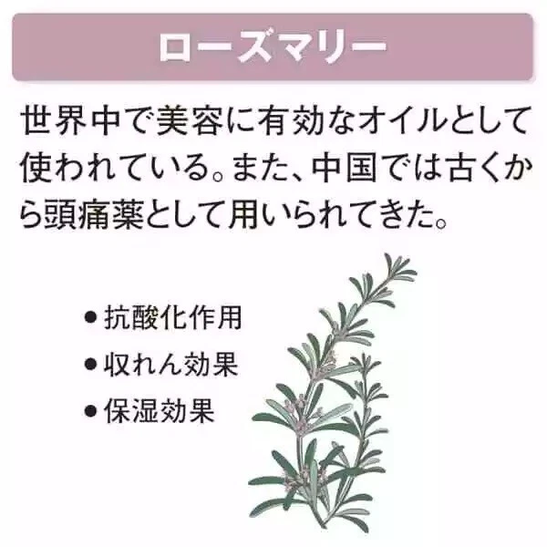 Shiseido Super Mild Shampoo Refill 400mL set of 4 - Image 4 of 4