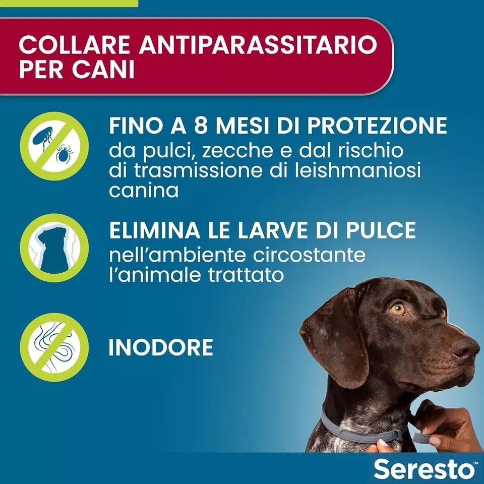 Foto 2 di 7