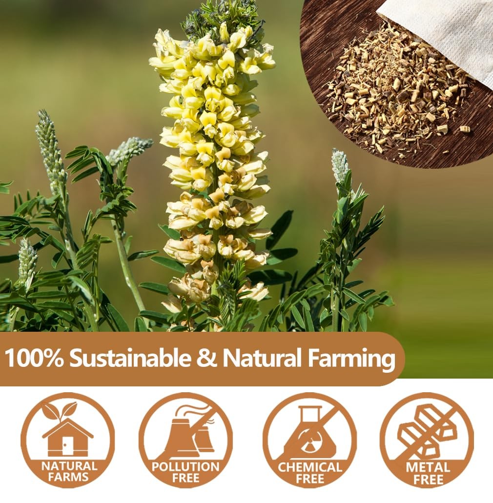 Premium 80 Licorice Root Tea Bags, Made with 100% High 80 Count (Pack of 1) 