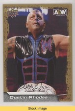 2022 Upper Deck AEW All Elite Wrestling Gold Dustin Rhodes #46 READ 1no3