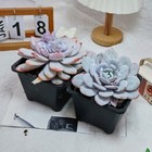 Bild 8 von 9