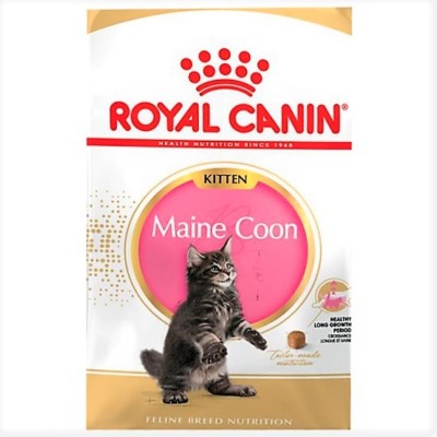 4 kg Royal Canin Maine Coon Kitten ( 13,16/kg) Trockenfutter  Coonie-Ktzchen | eBay.de