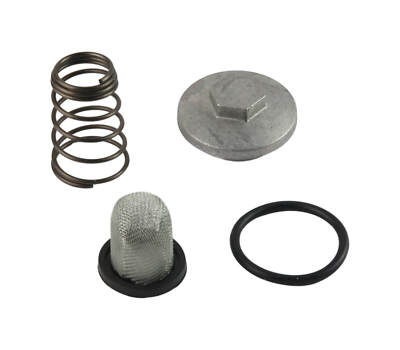 Ölablassschraube Set Ölfilter Ölsieb für Pegasus S 50 LX, S 50 GP, S 25 GP LX 