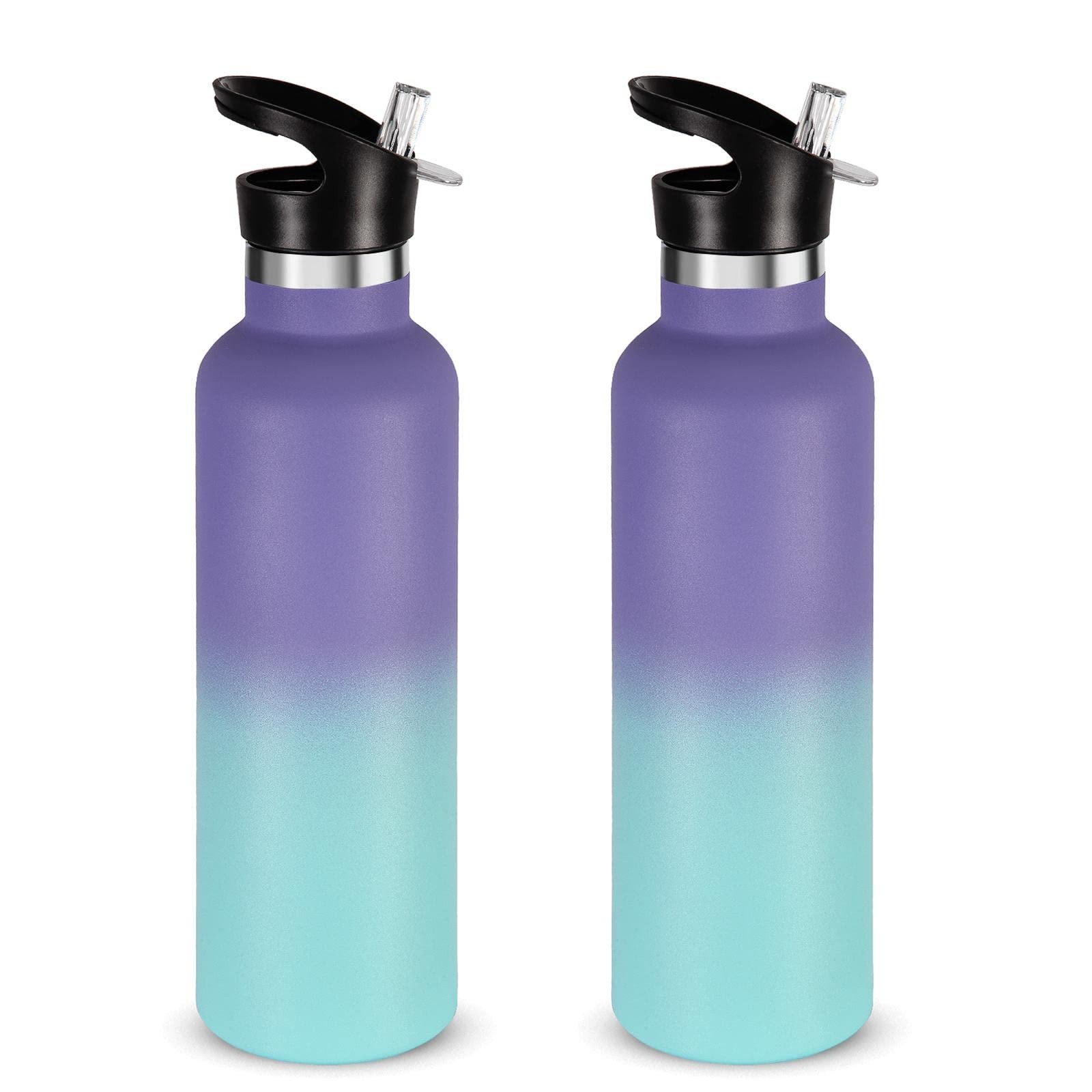 S Bulk 2 Pack,stainless Steel Double Wall Sport Bo...
