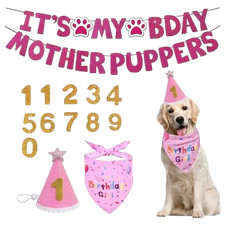 4 PCS Dog Birthday Hat Set with Dog Birthday Bandana Banners and 0-9 Golden