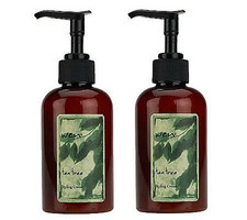 WEN by Chaz Dean Choice of Styling Creme Duo-Tea Tree A86337 NEW