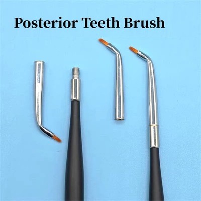 Dental Curved Brush Teeth Bent Pens Skyists Nylon Hair Brushes Posterior Brush