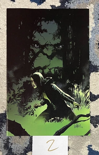 Hulk # 2 Leinil Yu 2nd Print 1:25 Virgin Variant 1st Sister Sadie appearance  ✌️