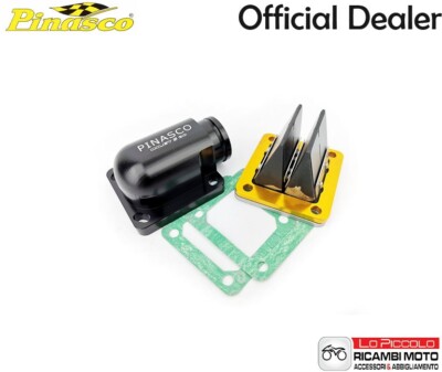 Ricambi Lo Piccolo Pietro 26381151 Kit Pack Valve Lamellar Pinasco
