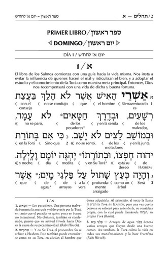 ARTSCROLL Hebrew/Spanish Español Interlinear Pocket Size Tehillim Psalms - Picture 2 of 5