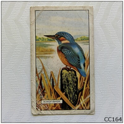 Gallaher British Birds #27 Kingfisher Cigarette Card (CC164)