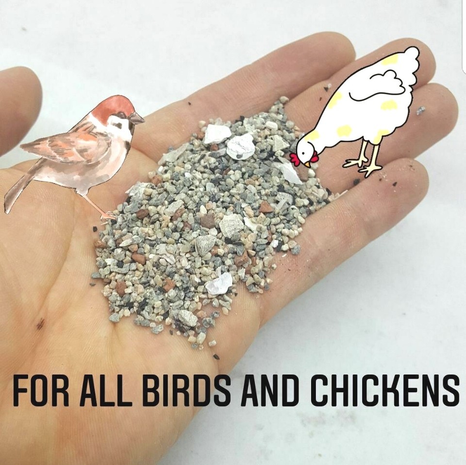 BusyBeaks Hen Sized Oyster Shell | Premium High In Calcium Poultry Grit - Foto 4