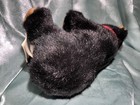 Bild 4 von 10