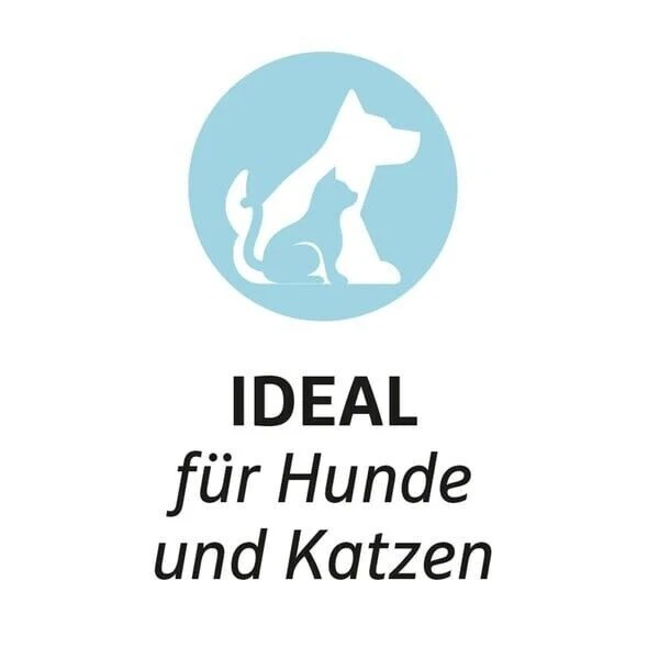 Bild 2 von 3
