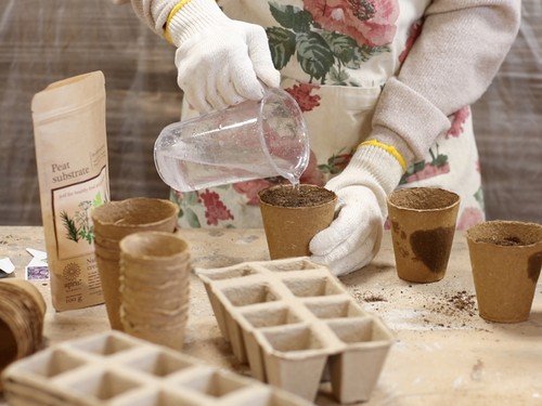 CANABIS / PEAT SUBSTRATE / premium quality soil for seeding and planting canabis - Picture 8 of 9