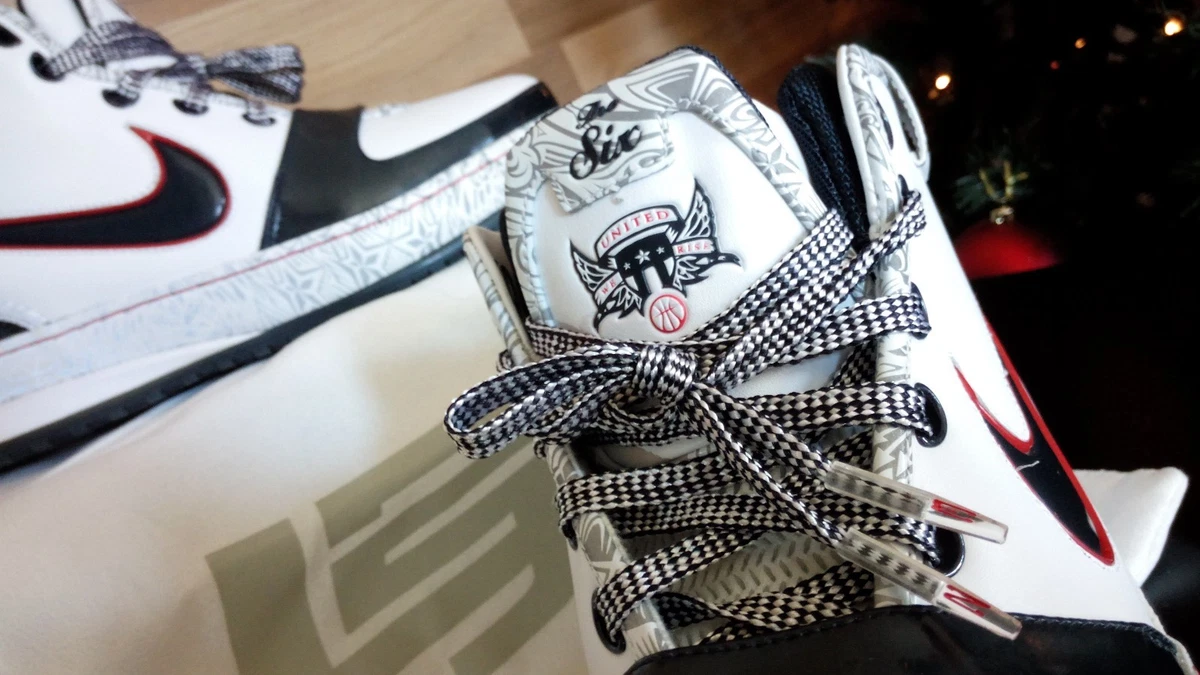 Nike Zoom LeBron 6 United We Rise for Sale | Authenticity