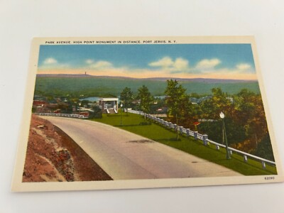 Park Avenue High Point Monument in Distance Port Jervis New York Postcard