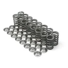 Brian Crower D16Y8/D16Z6 Single Valve Spring for Honda Civic & Del Sol