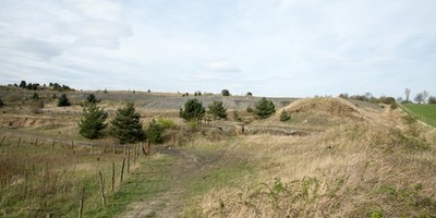 Foto 6x4 Gelände des Kohletagebaus Follingsby Vegetation ist allmählich c2017