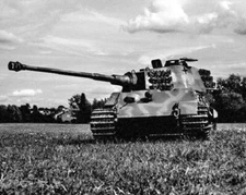 German Panzer King Tiger Tank WWII WW2 8x10 Photo 689a