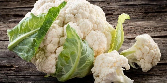 FAVA DA ORTO SUPERAGUADULCE - Franchi Sementi