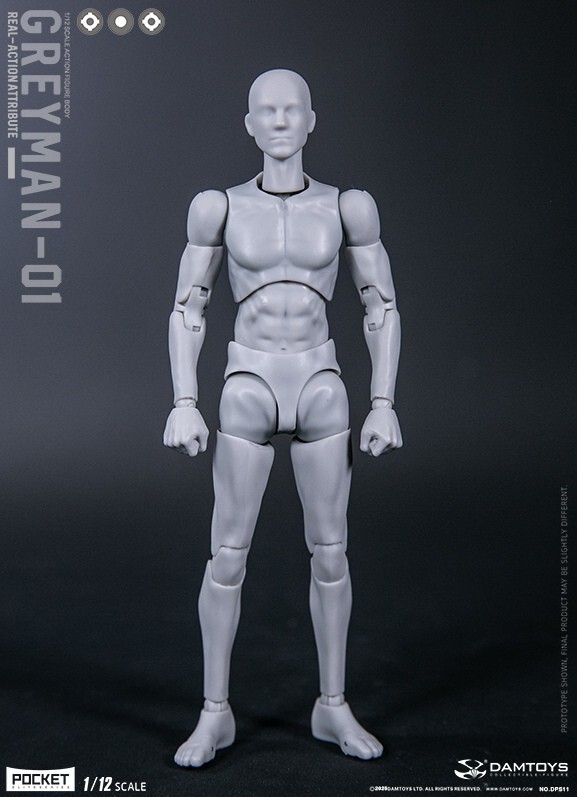 DAMTOYS DPS11 1/12 Male Flexible Figure Body 6
