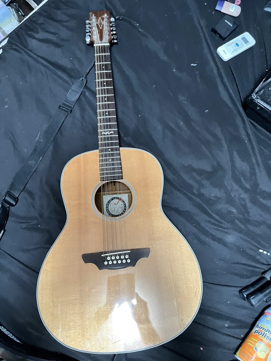 Alvarez 12 string sale acoustic