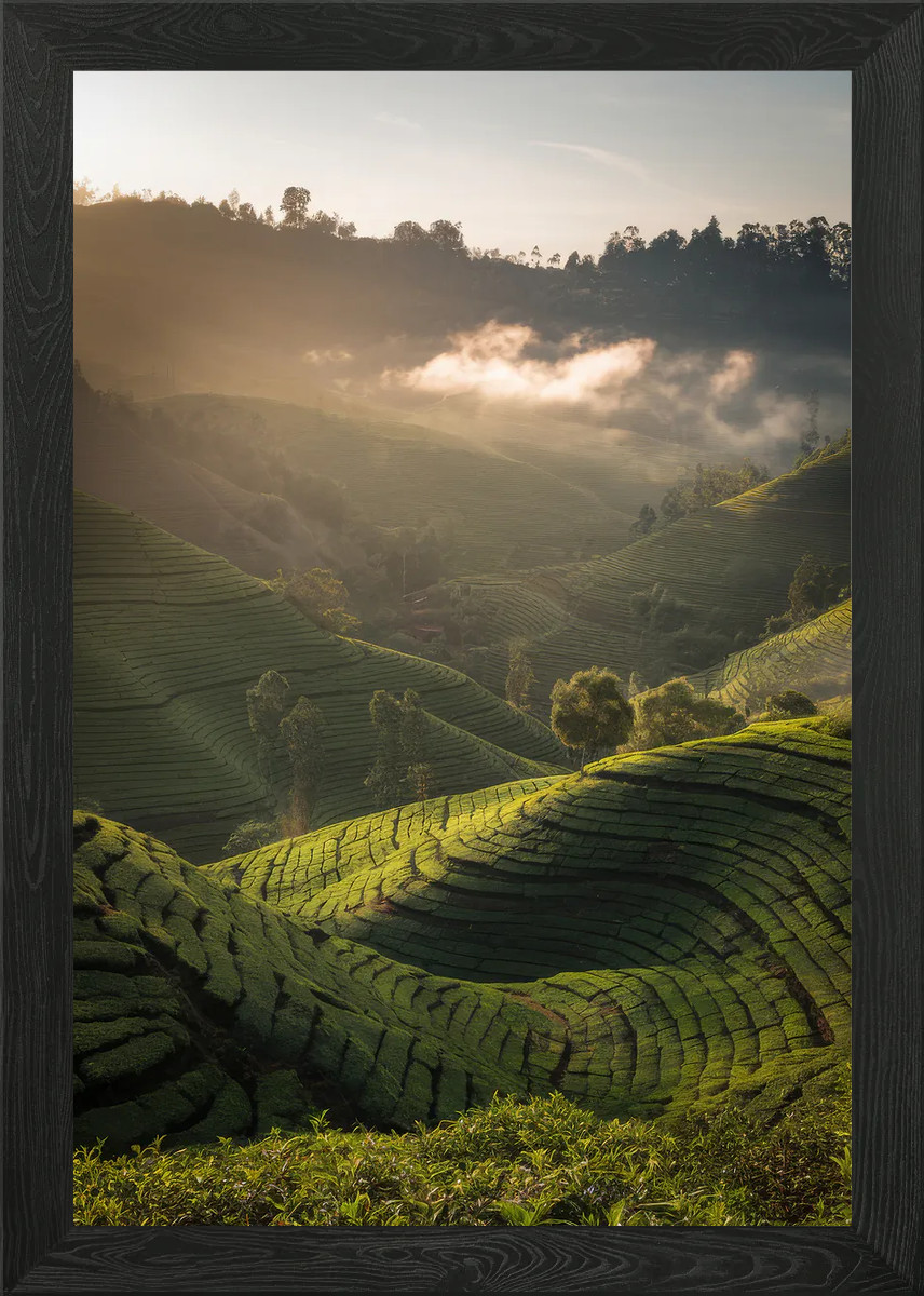 Plantation Landscape Framed Wall Art Poster Canvas Print Pic
