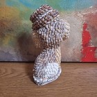 Foto 5 di 10