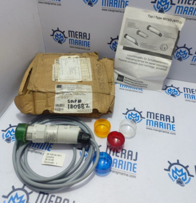 Stahl 8013/313 (ATEX) Indicating Lamps for Panel Mounting | eBay