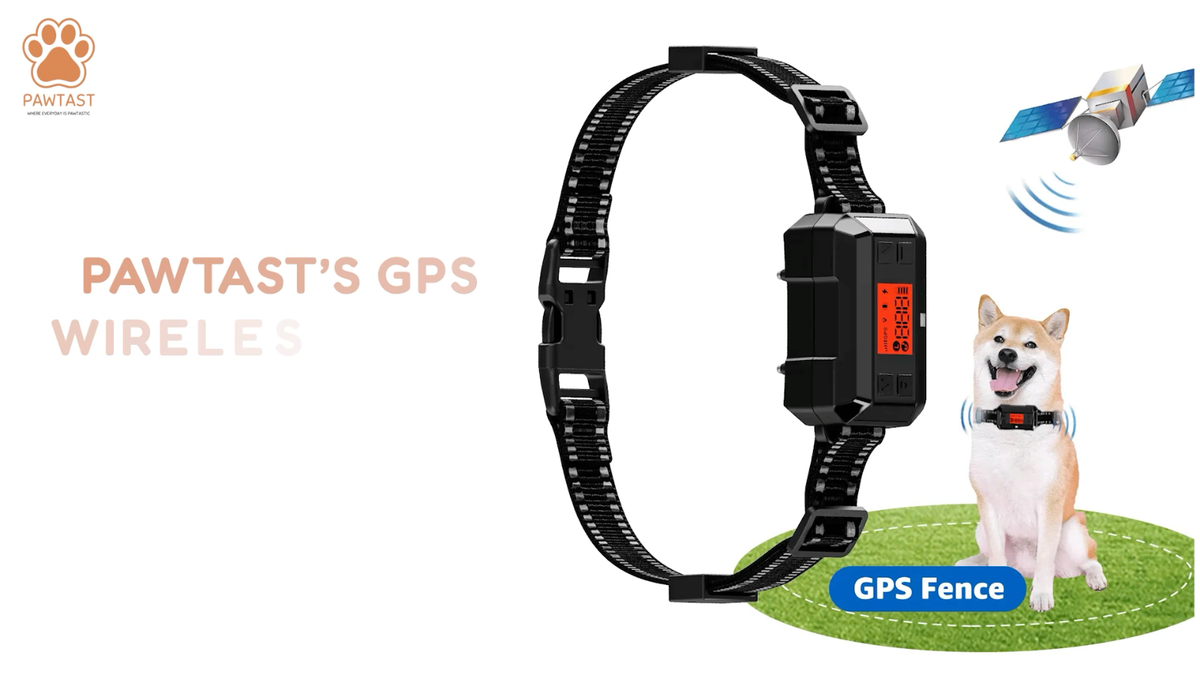 Gps Invisible Dog Fence Tractor Supply GPS Dog Fence F810 Wireless