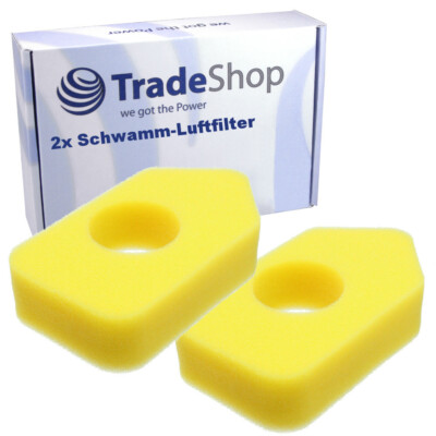 2x Luft-Filter Schwamm für Briggs & Stratton 10982 98902 98982 10A900 10B900