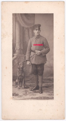 Nr. 20 / WW1. Deutsches Foto / Deutscher Offizier und sein Hund, Atelierbild 1917