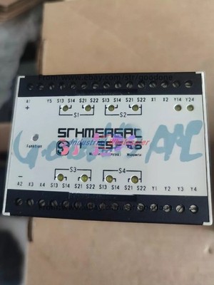 1PC NEW FOR Schmersal AES3075 24 VDC Safety Relay Fast delivery