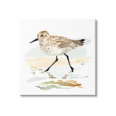 Sandpiper Stepping on Shore Canvas Wall Art by Victoria Barnes