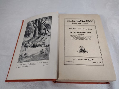The Campfire Girls Larks and Pranks Hildegard G Frey AL Burt ©1917 HC - Picture 8 of 11