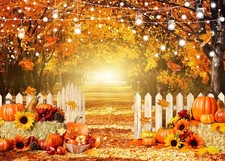 Fall Photo Backdrop 7x5ft Thanksgiving Autumn Forest Pumpkins Background X305