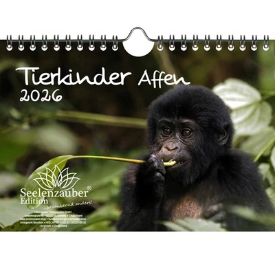 SEELENZAUBER GMBH Tierkinder Affen DIN A5 Kalender für 2026 - Seelenzauber